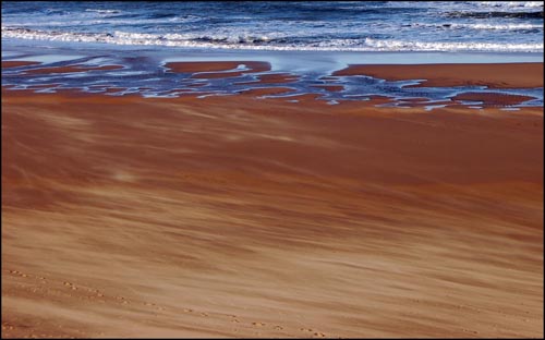 The Beach